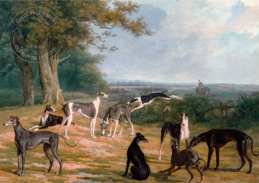A1 9 Greyhounds in a Landscape by Jacques-Laurent Agasse