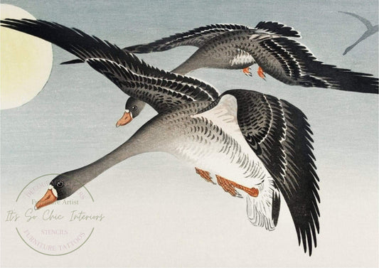 A1 Japanese Geese