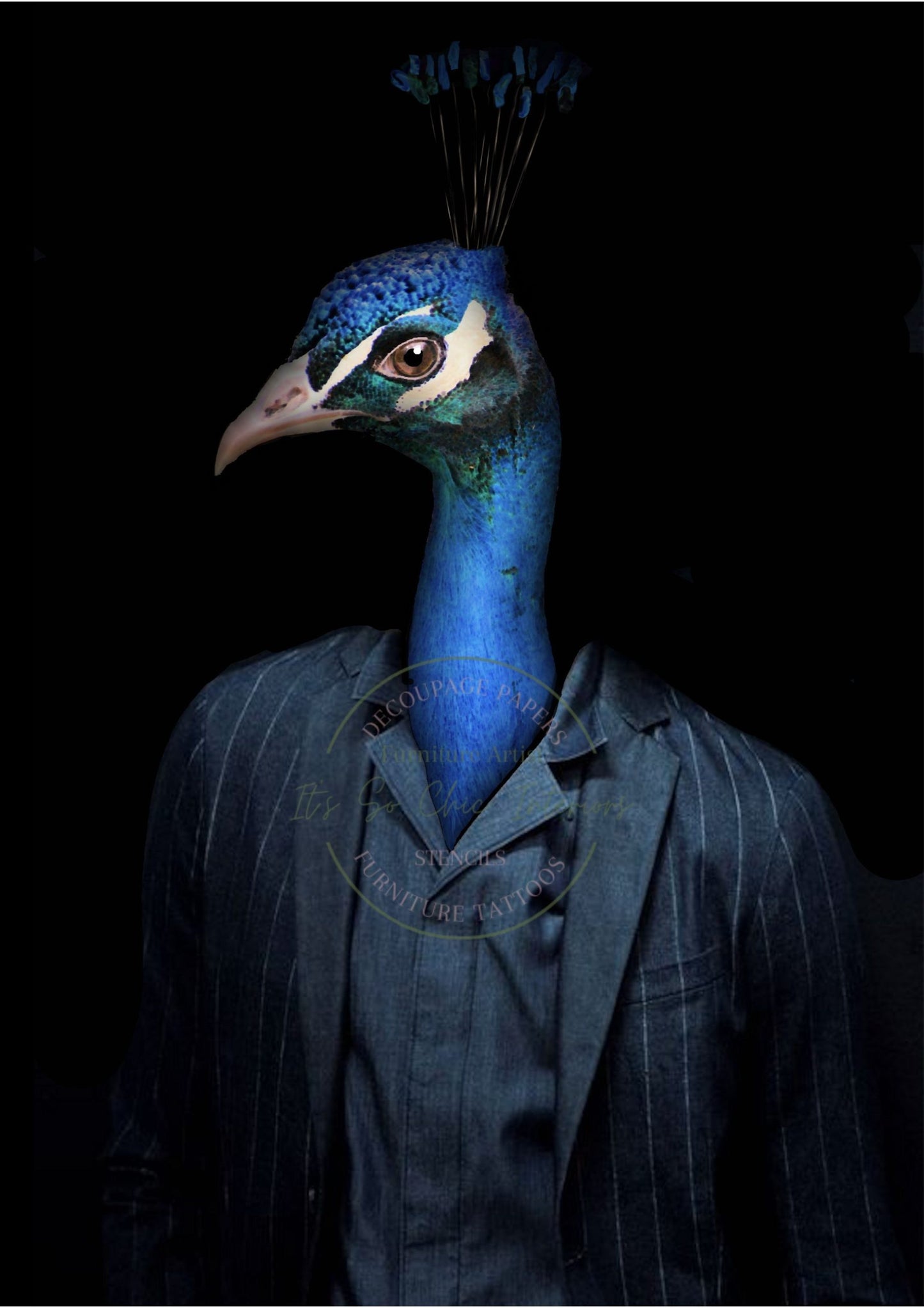 A2 Mr. Peacock