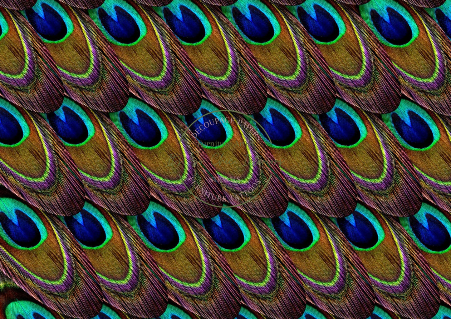 A2 Peacock Feathers