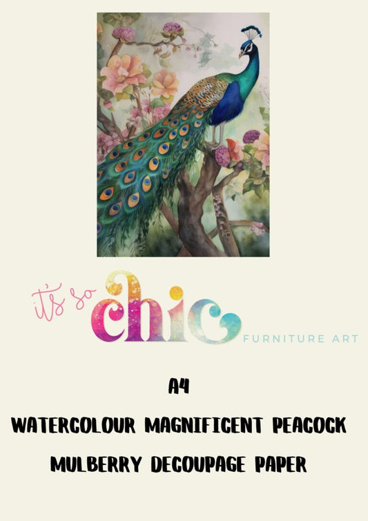 A4 Watercolour Magnificent Peacock