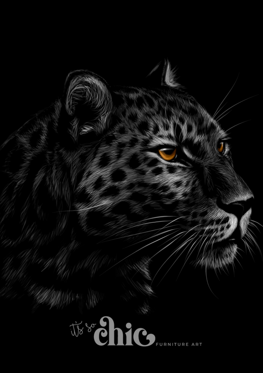 Mysterious Leopard